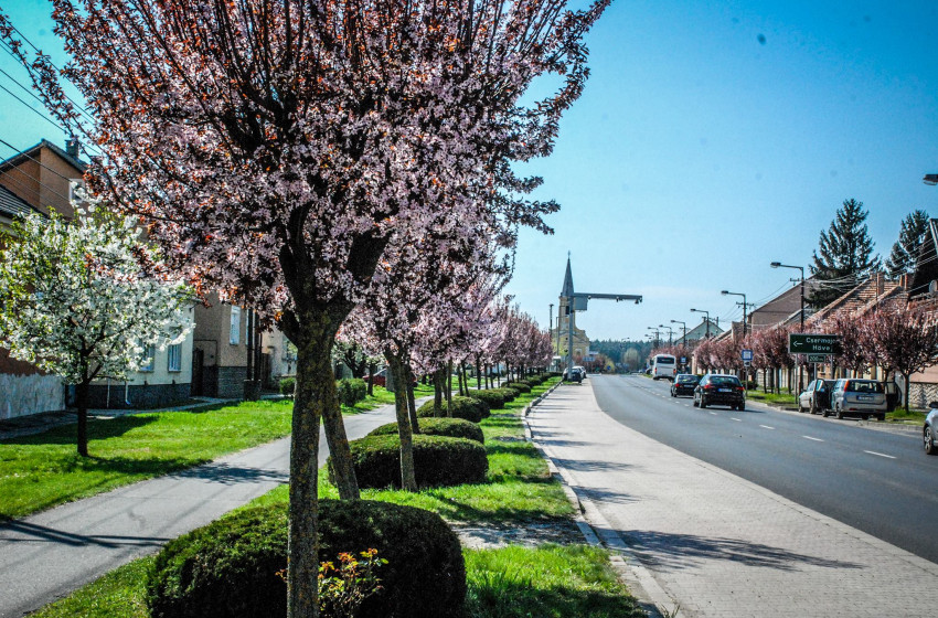 III. Vitnyédi Kalács és Gasztronómiai Fesztivál 