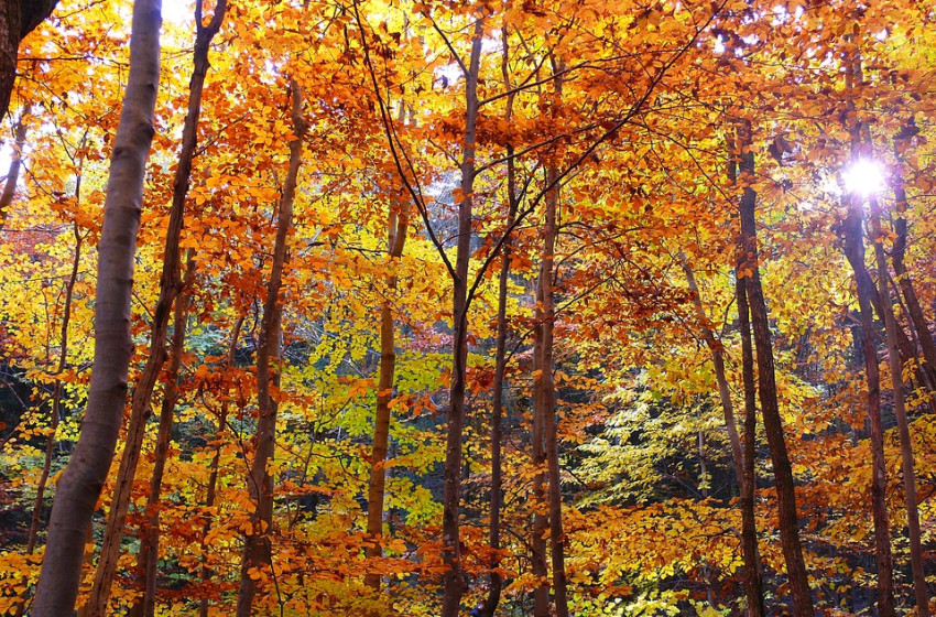 Figyelmeztetésekkel vonul el a front