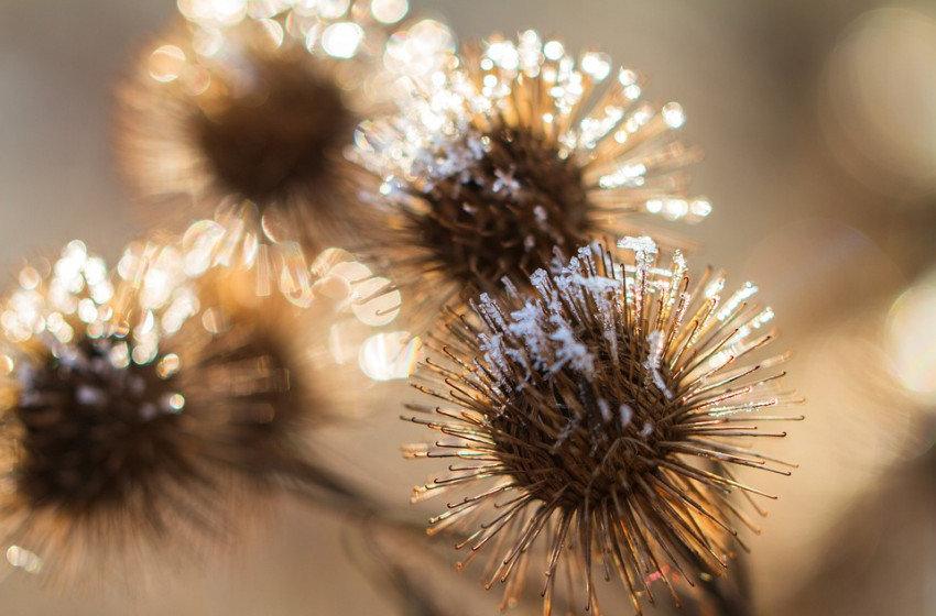 A hétvégén már fagyhat 