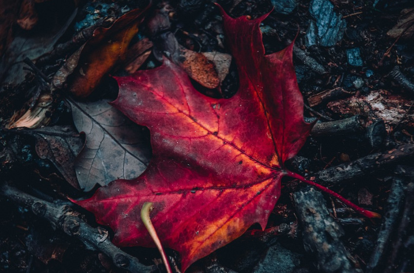 Hajnali mínuszok után délutáni tavasz vár ránk csütörtökön