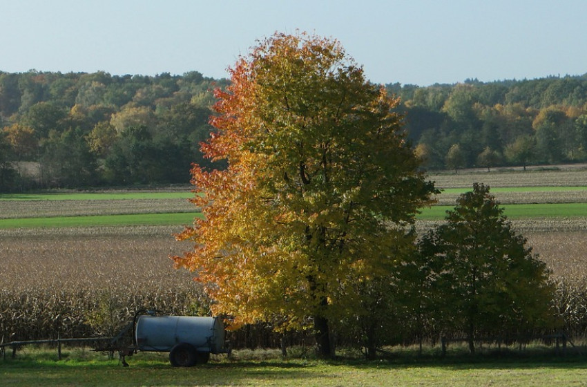 Nyugaton borús idő, keleten zavartalan napsütés várható