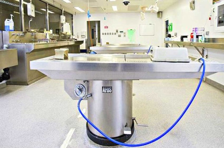 Több mint 300 csontot loptak ki a hamvasztásra váró holttestek koponyájából