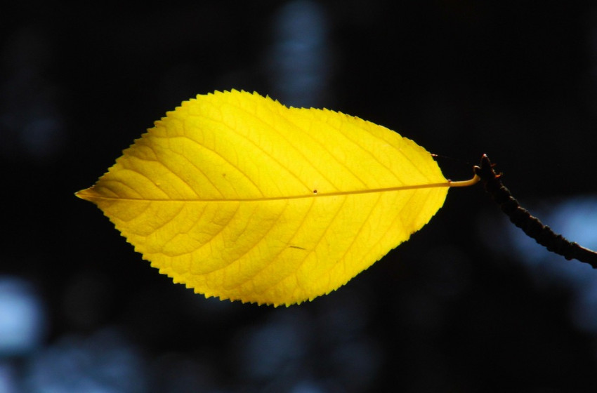 Mutatjuk, milyen idő lesz október 23-án