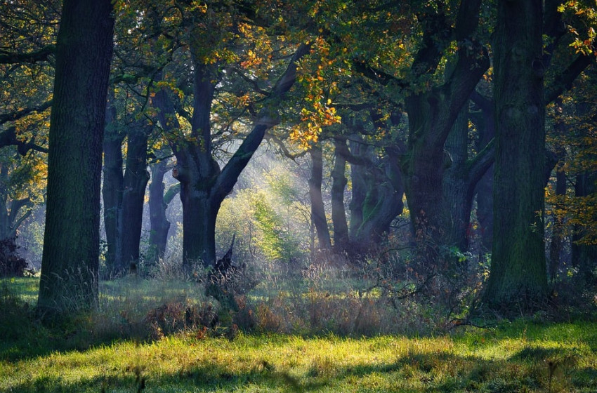 Napsütéses kedd vár ránk, 21 fokig emelkedhet a hőmérséklet
