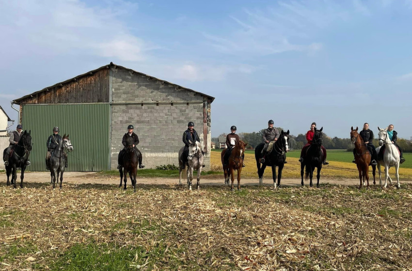 Csapatépítő lovastúra a Kapuvári Lovas Egyesülettel 