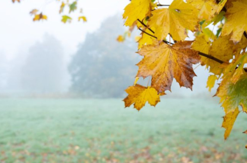 Ködös reggel, naposabb délután