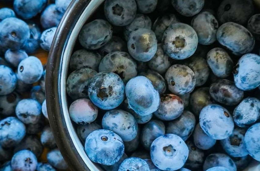 Ezzel a gyümölccsel javíthatja a memóriáját 