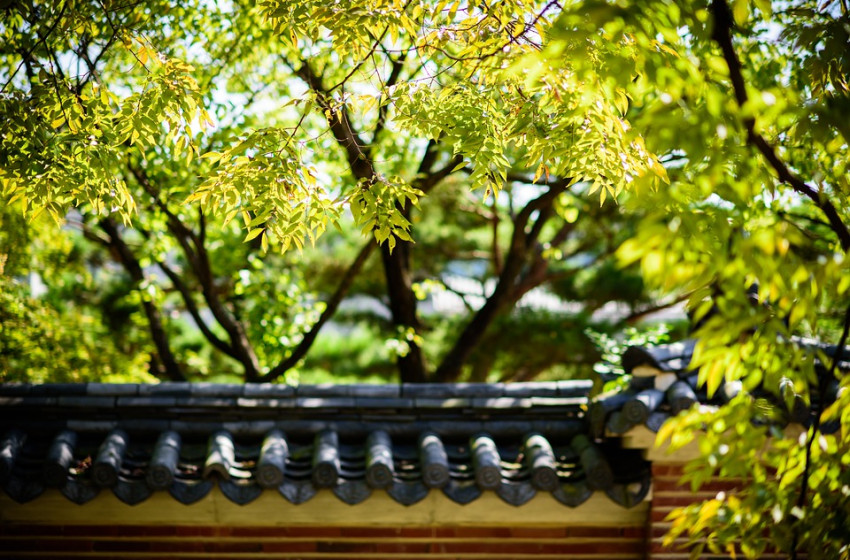 Napsütés váltja a fagyos reggeli időt