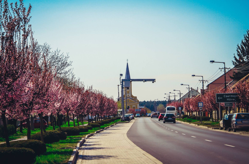 Nyugdíjas nap Vitnyéden