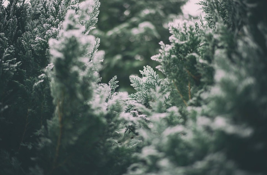 Leesett az első hó hazánkban