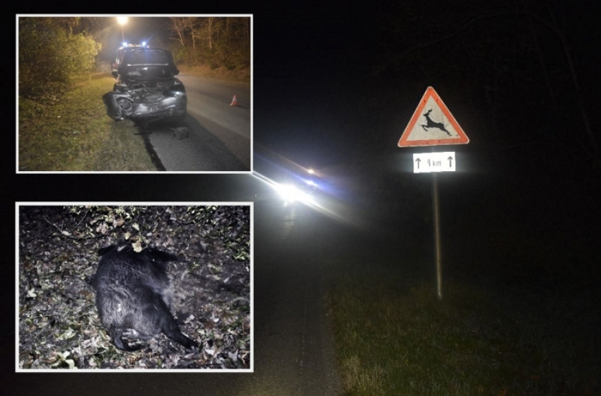 Védjük meg a vadakat