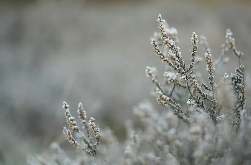 Kőkemény mínuszok és havazás jön csütörtökön