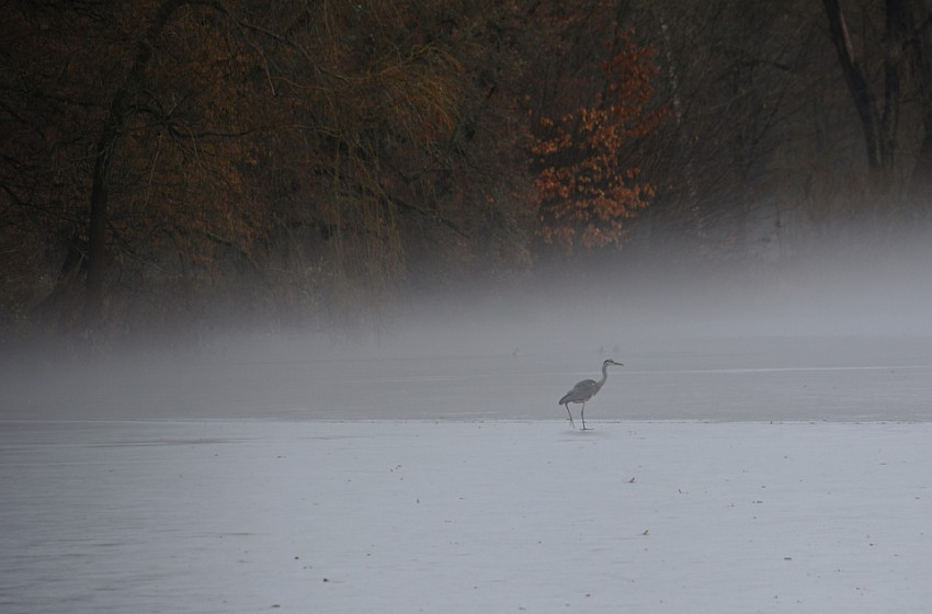 Kiderült, milyen időre számíthatunk a hétvégén 