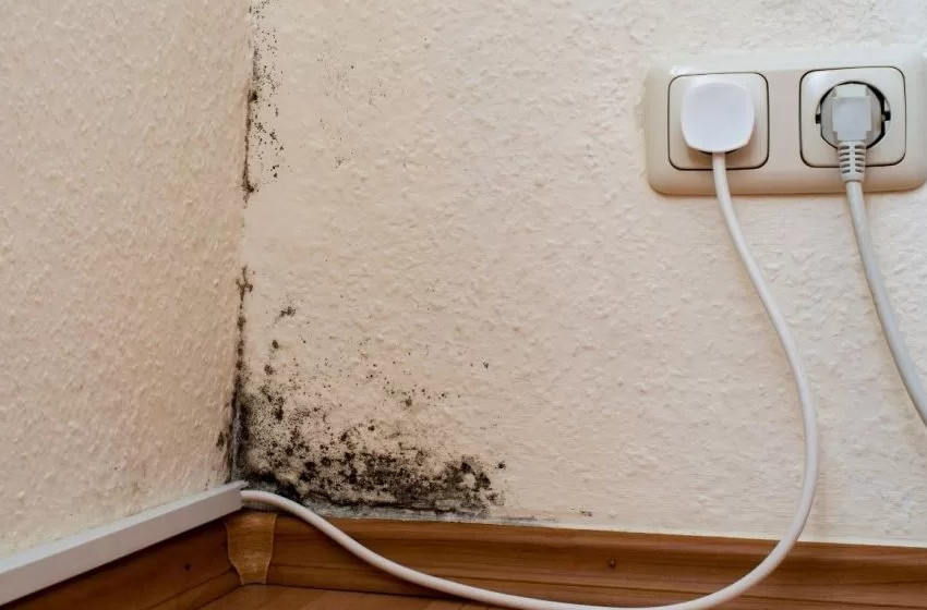 A penész ellen természetesen