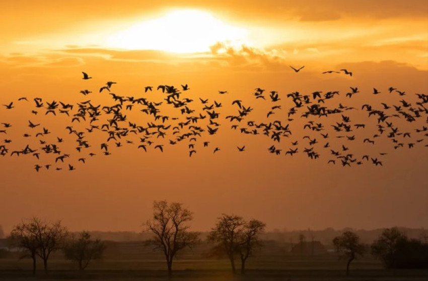 Eredményes évet zártak hazánk nemzeti parkjai