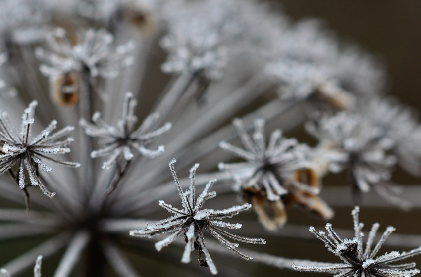 Marad a tavasznak beillő tél, de a szél begombolja a kabátokat 
