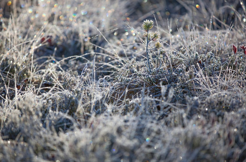 Folytatódik a kellemes időjárás, van, ahol még 10 fok is lehet