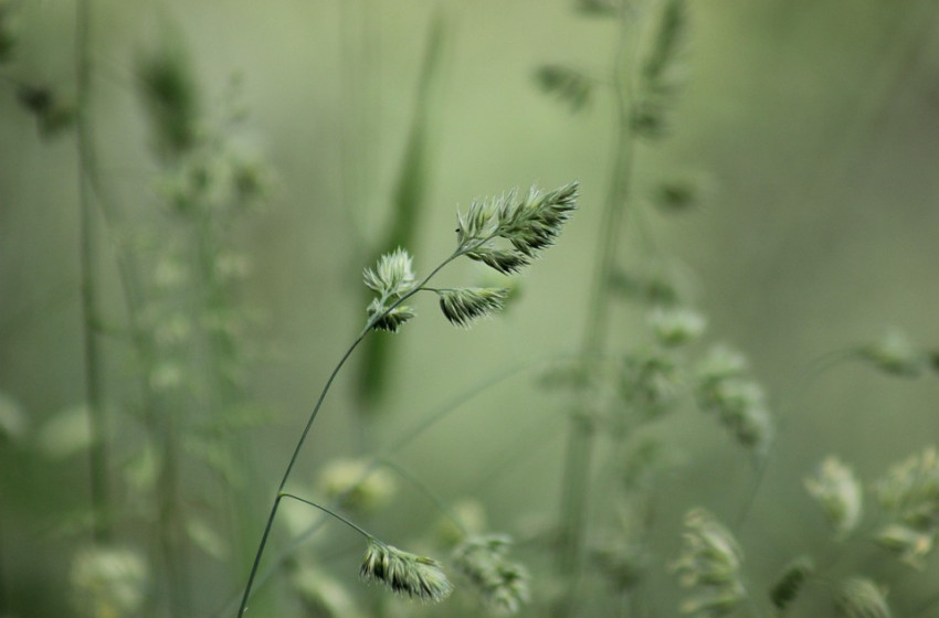 Borongós és hideg, de csapadékmentes idővel zárul a hét utolsó munkanapja