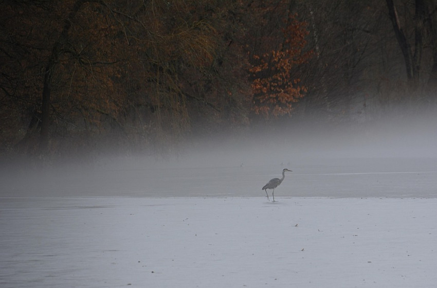 Kemény fagyokkal indul a hét, de így is megjelenik a napsütés