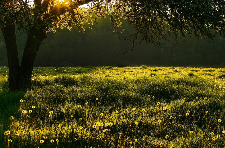 Ránk kacsint a tavasz, 15 fok is várható szerdán