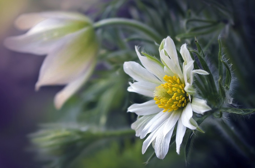A tavasz első hetében nyugodt, napos időre számíthatunk