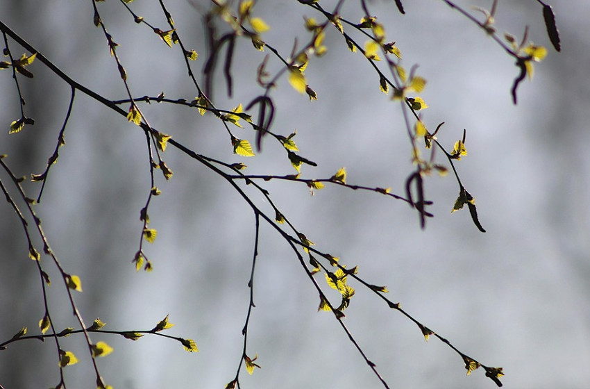 Szikrázó napsütéssel folytatódik a tavaszi felmelegedés