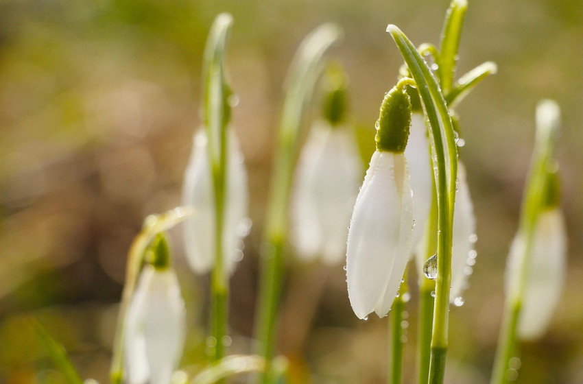 Ezt kell tudnia az időjárásról a hétvégi tervezéshez 
