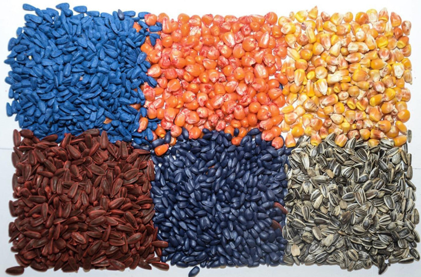 Magbörze Kapuváron 