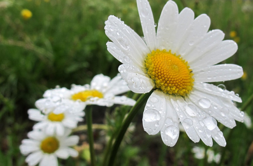 A héten még eső, a jövő héten országos fagy várható 2 órája Olvasási idő: 2 perc