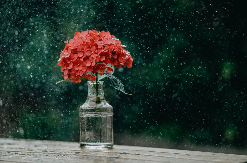 Viharos széllökéssel csapnak le a zivatarok, csaknem az egész országra kiadták a figyelmeztetést