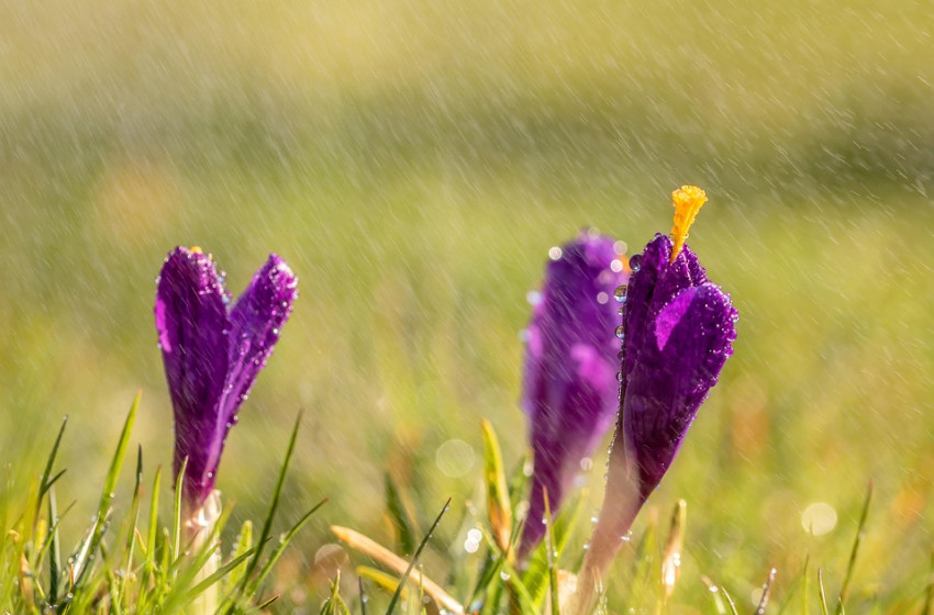 Visszatérnek az éjszakai fagyok, jelentős lehűléssel és viharos széllel indul a hét