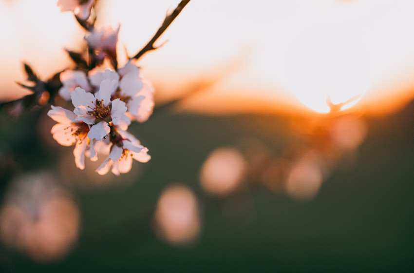 Borzongató kora reggel, gyors melegedés