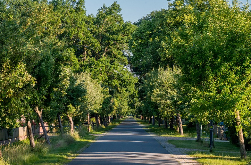 Közlekedésbiztonság Rábakecölben: A növényzet karbantartásának fontossága