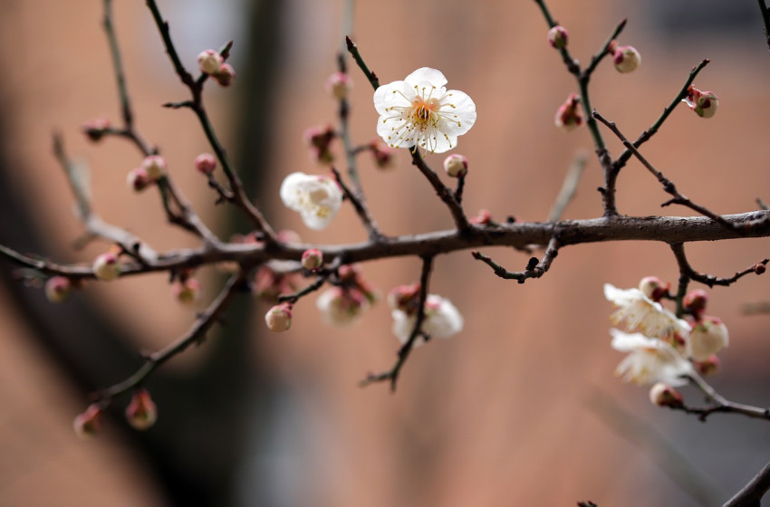 Szeszélyes időjárás vár minket országszerte, néhol a nap is kisüthet
