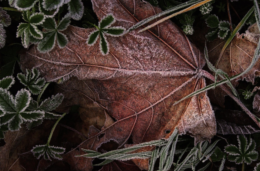 Fokozatos lehűlés jön
