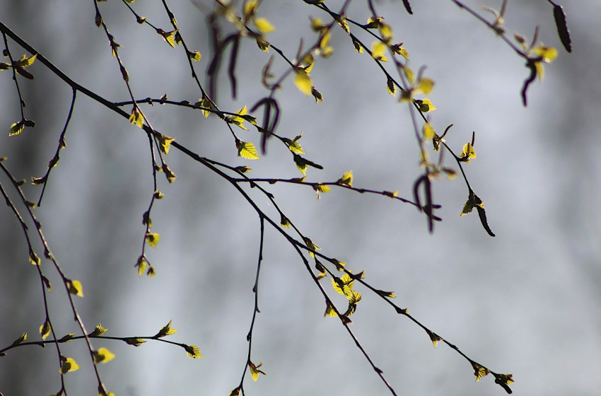 Folytatódik a zord idő, de már látszik a fény az alagút végén