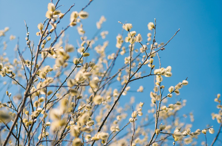Hózáporra kell számítani csütörtökön