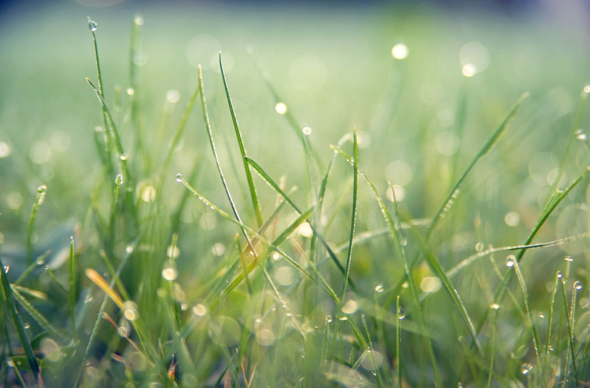 Jön az eső, jön a zápor