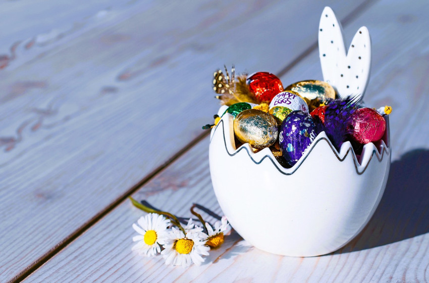 Tojáspánik Barbacson