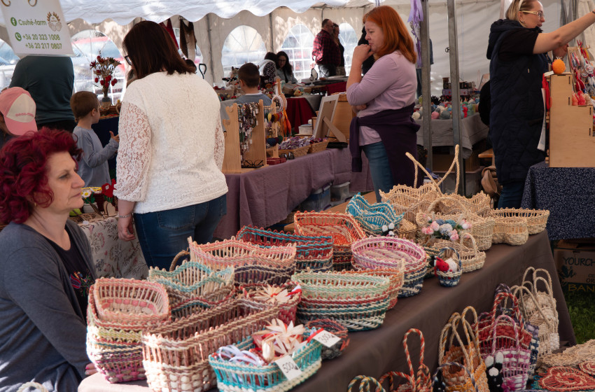 Tavaszi Zsibongó Szilban