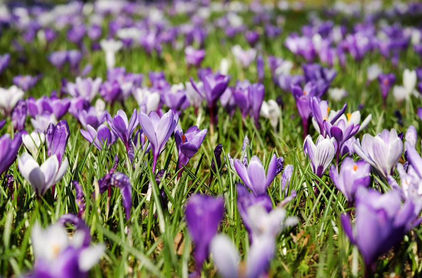 Kiadták a figyelmeztetést, országszerte zivatarok és felhőszakadás várható