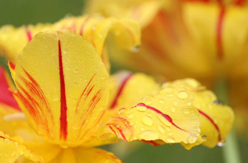 Jön az ítéletidő, az egész országra kiadták a figyelmeztetést zivatar és felhőszakadás miatt
