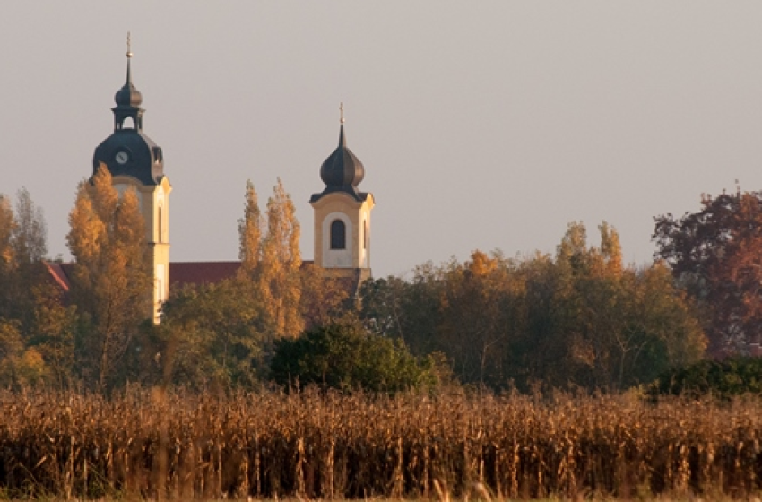 Közösségi munka a méltó emlékezésért – takarítás a Rábapordányi temetőben