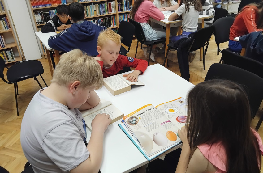 Virágok és méhek a könyvtárban – környezeti nevelés Kapuváron