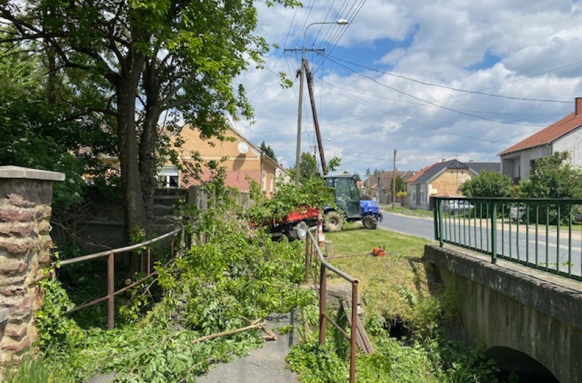 Elkezdődött a közterületi fák és cserjék eltávolítása Ivánban