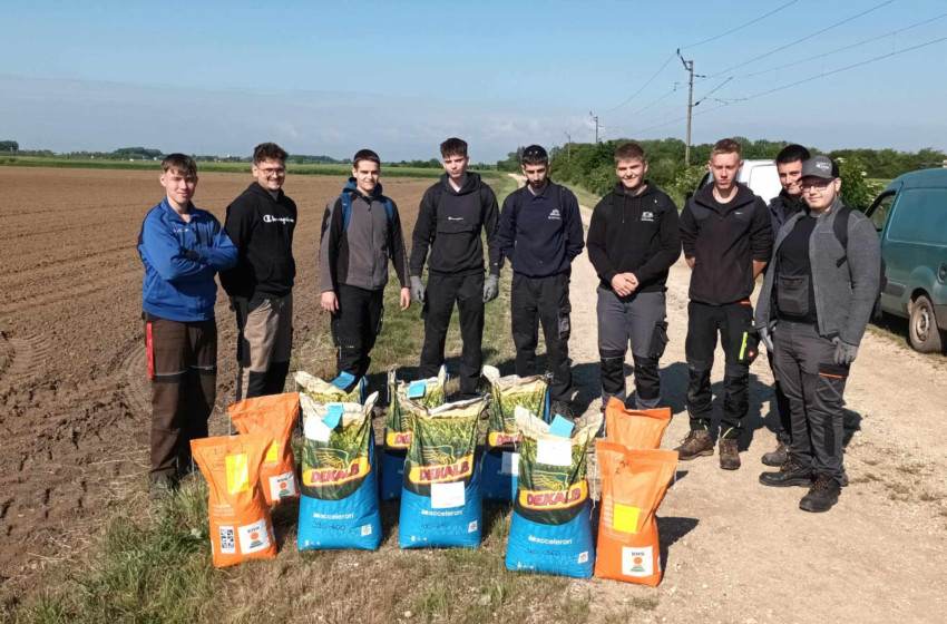 Szakmai fejlesztés a Csukás iskolában