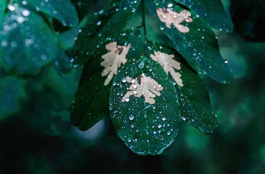 A fél országra kiadták a figyelmeztetést, zivatarok csaphatnak le hamarosan