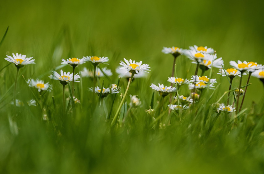 Kiadták a figyelmeztetést, visszatérnek az erős szelek és a zivatarok