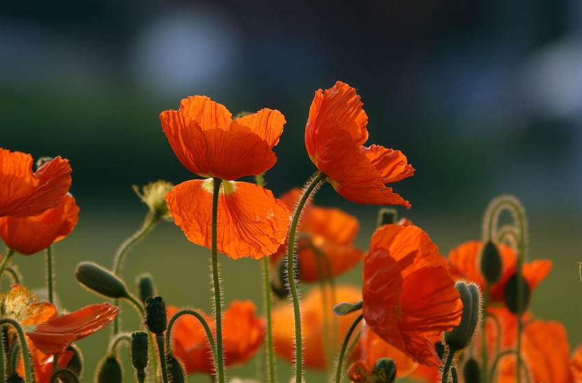 A frizura sem marad egyben, olyan szeles időjárásunk lesz