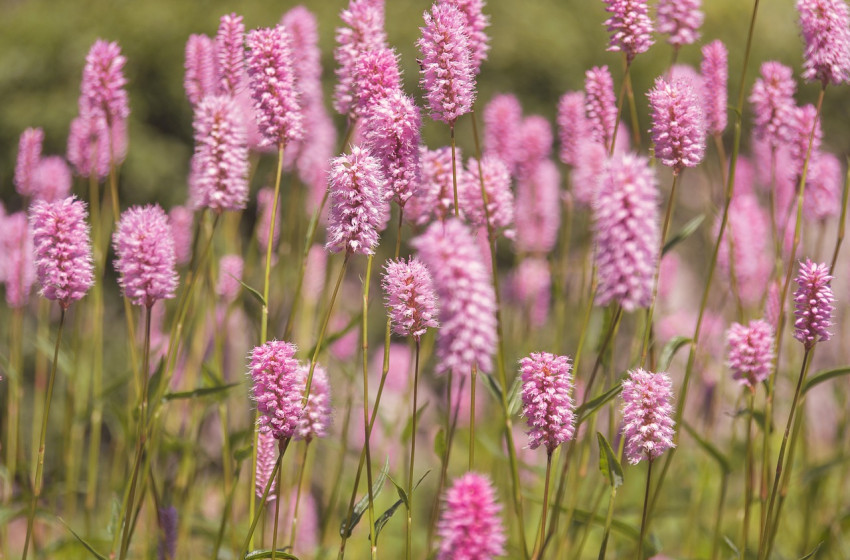 Napsütéssel mosolyog ránk a péntek, de nem árt, ha a közelben lesz az esernyő